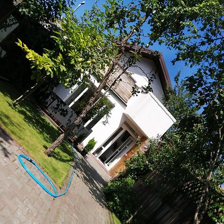 Casa Scheiana Bed and Breakfast Μπρασόβ Εξωτερικό φωτογραφία