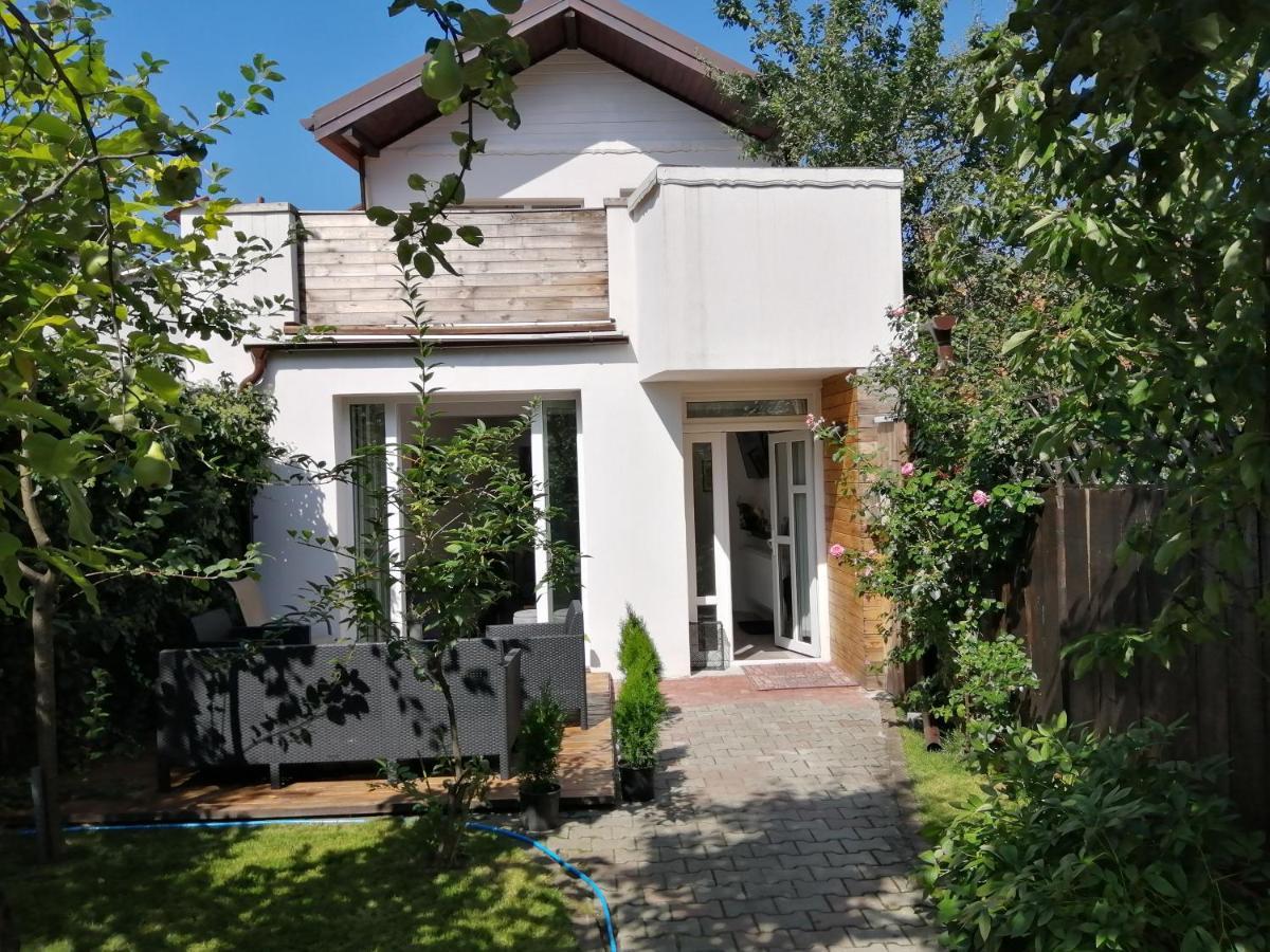 Casa Scheiana Bed and Breakfast Μπρασόβ Εξωτερικό φωτογραφία
