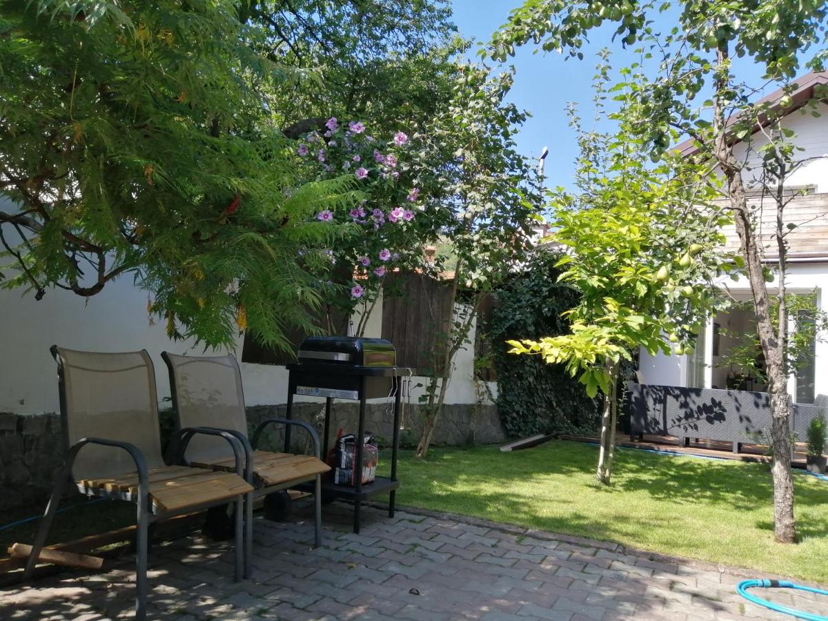 Casa Scheiana Bed and Breakfast Μπρασόβ Εξωτερικό φωτογραφία
