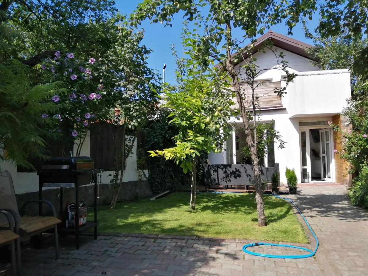 Casa Scheiana Bed and Breakfast Μπρασόβ Εξωτερικό φωτογραφία