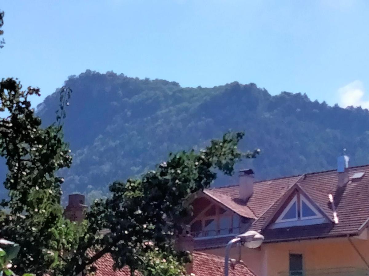 Casa Scheiana Bed and Breakfast Μπρασόβ Εξωτερικό φωτογραφία